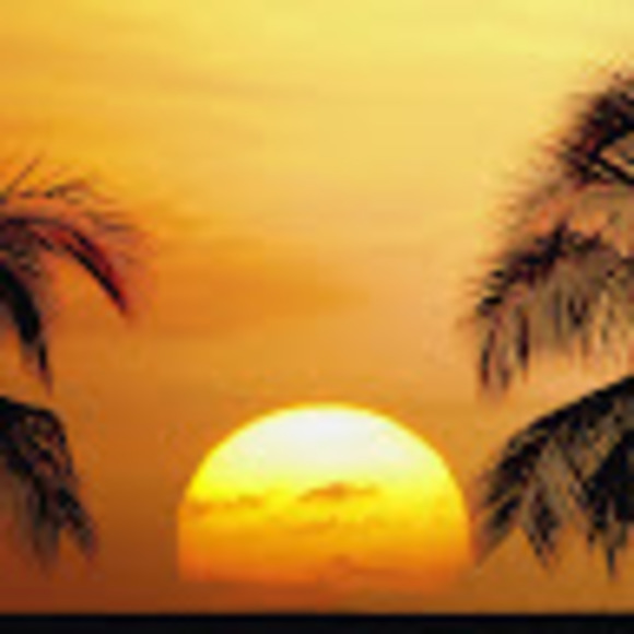 Meet your Posher, Meg - Picture 1 of 1